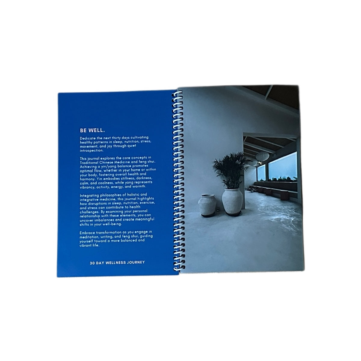 Be Well. (30 Day Health Journal)