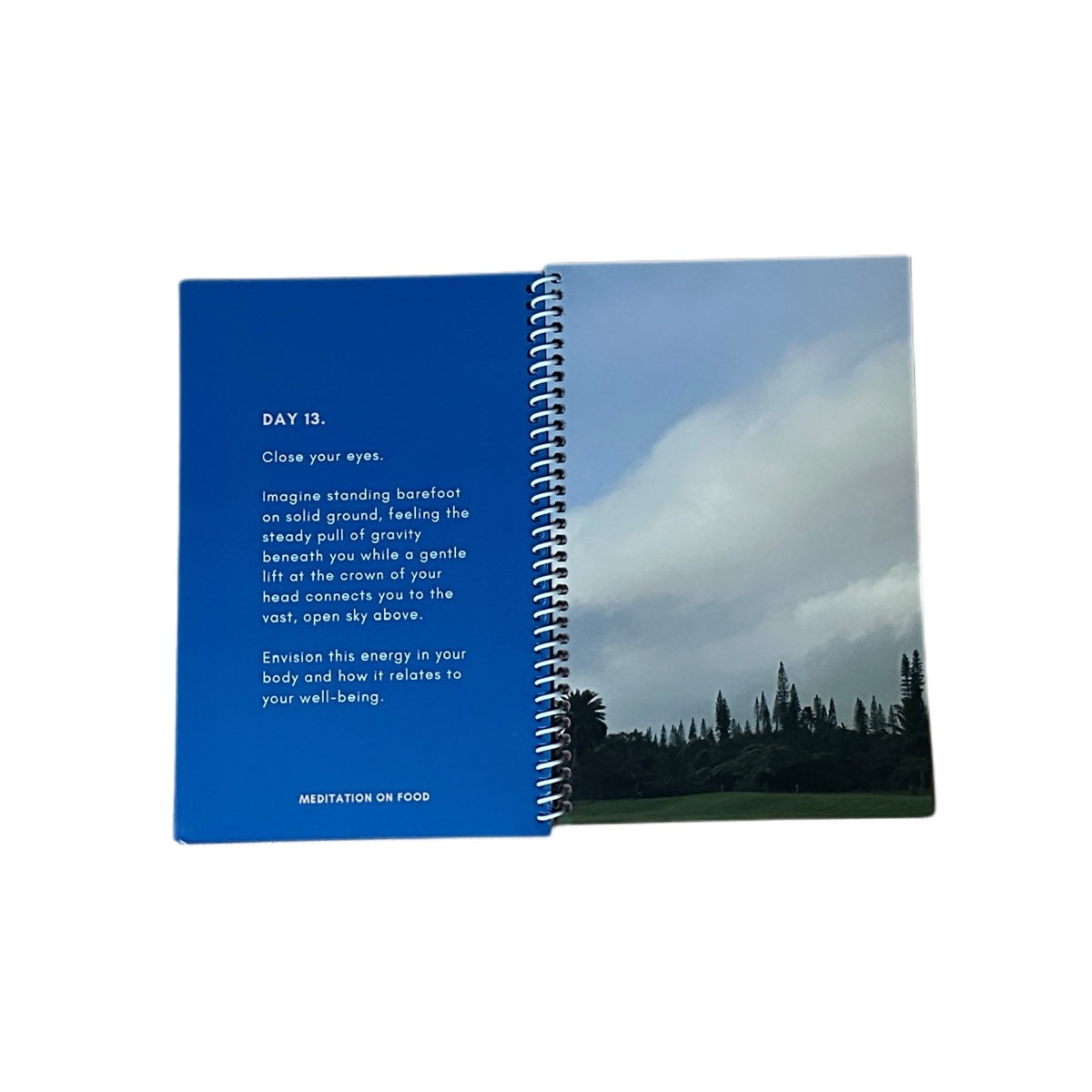 Be Well. (30 Day Health Journal)