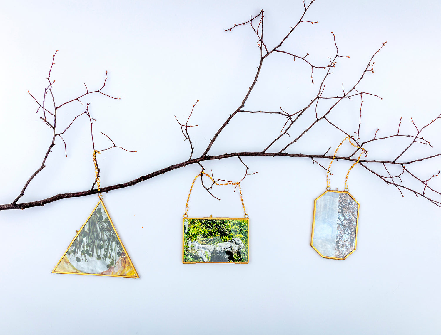 Three unique shaped frames with artistic images of nature title Wood U from Everyday Art Editions