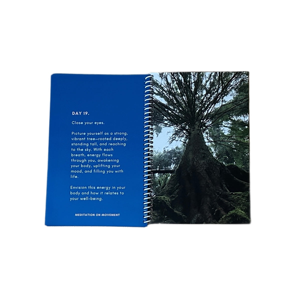 Be Well. (30 Day Health Journal)