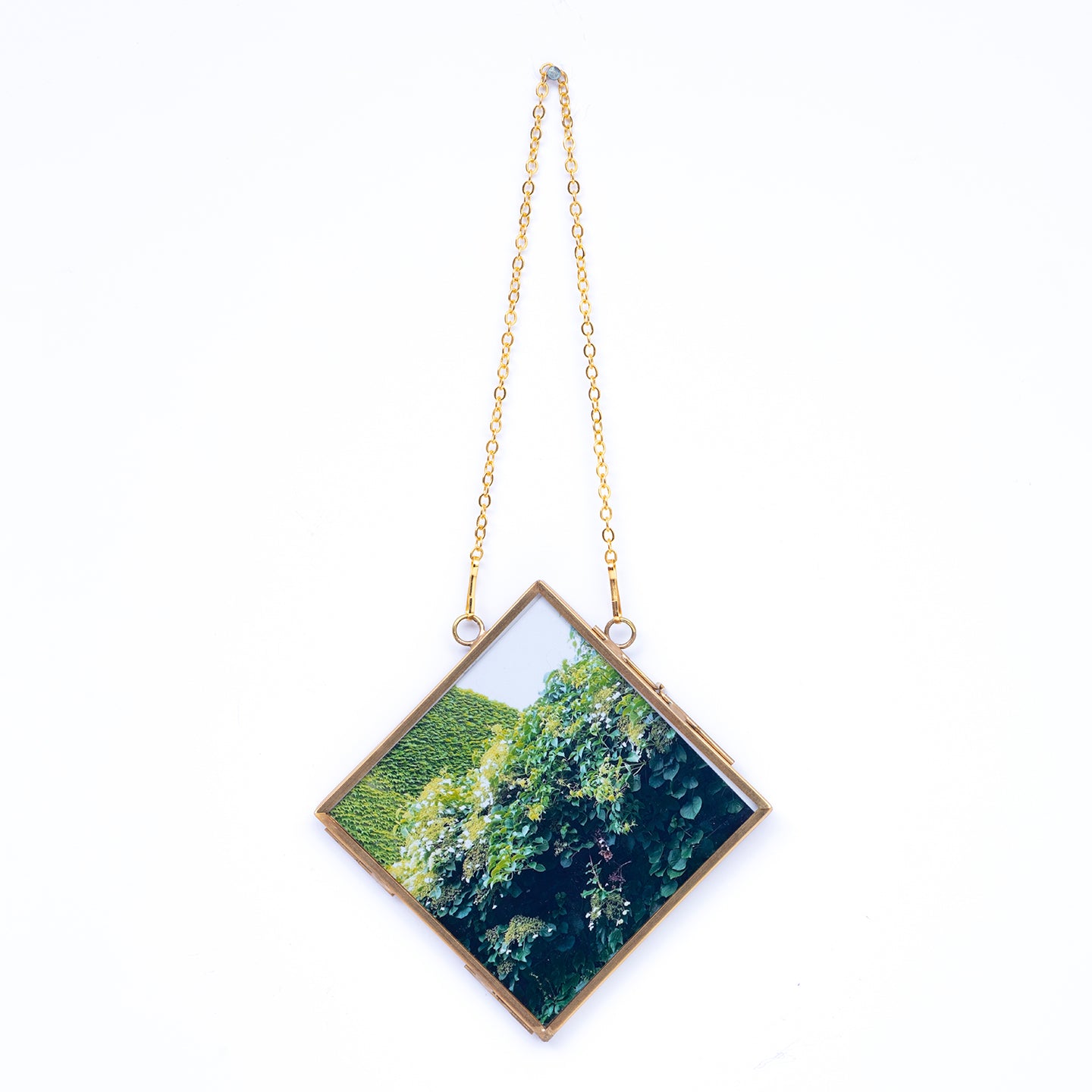 Diamond shaped frames with artistic images of nature title Wood U from Everyday Art Editions