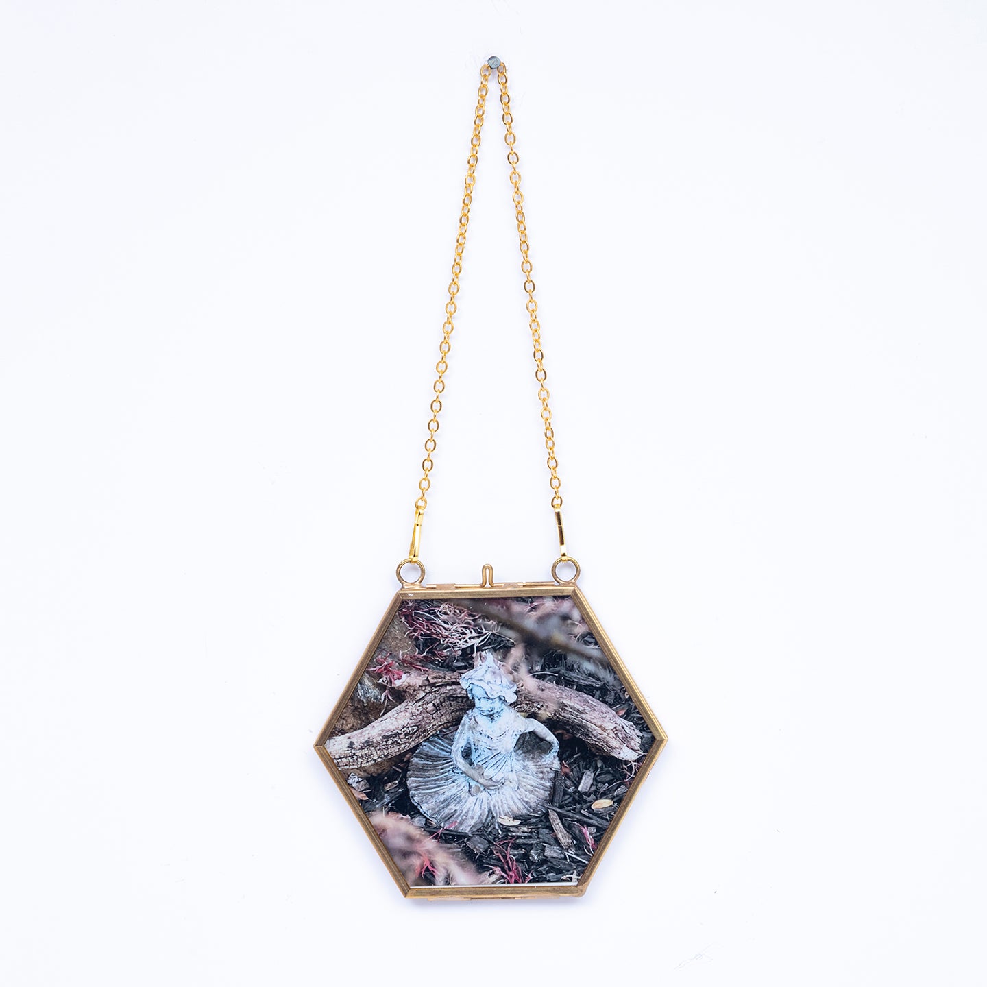 Hexagon shaped frames with artistic images of nature title Wood U from Everyday Art Editions