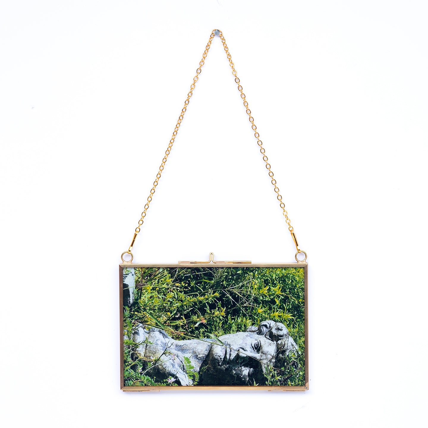 Rectangle shaped frames with artistic images of nature title Wood U from Everyday Art Editions