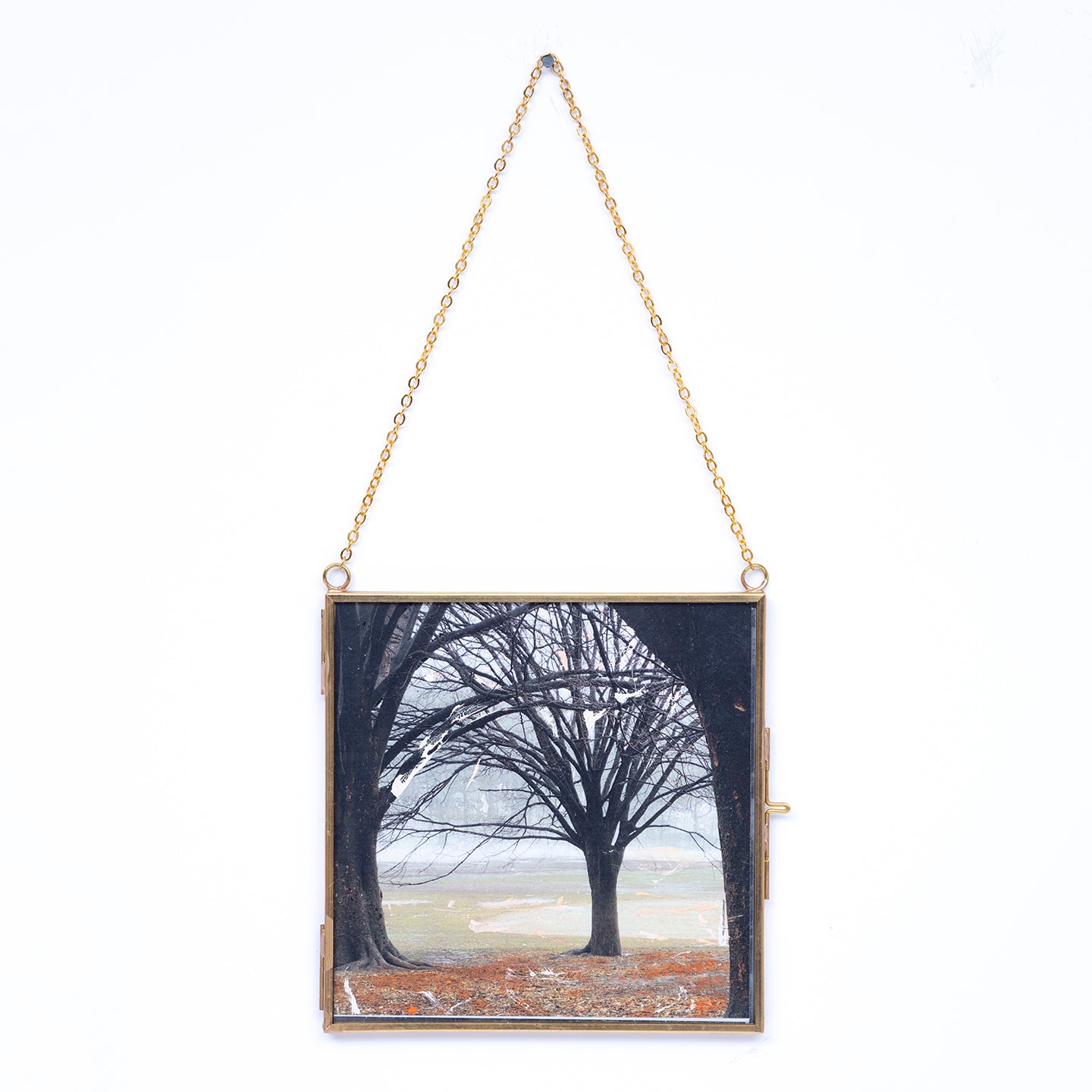 Square shaped frames with artistic images of nature title Wood U from Everyday Art Editions